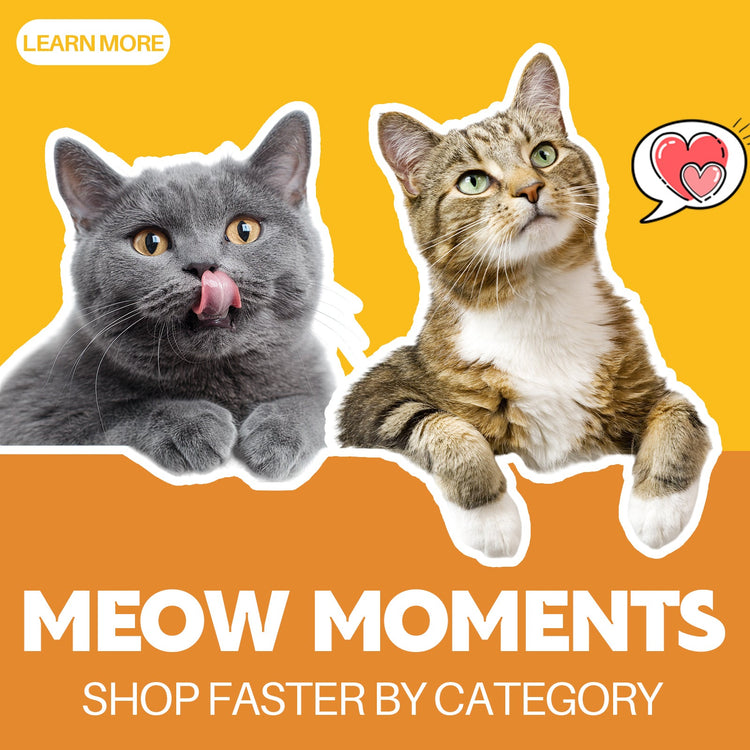 For Cats