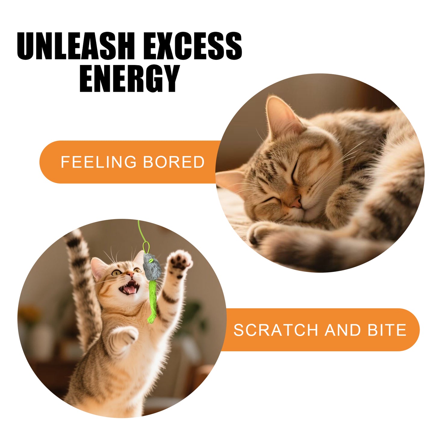 Interactive Cat Teaser Wand with Feather & Bells – Fun Exercise Toy for Cats