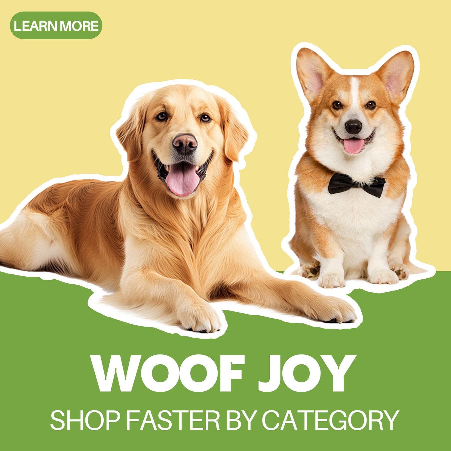 For Dogs