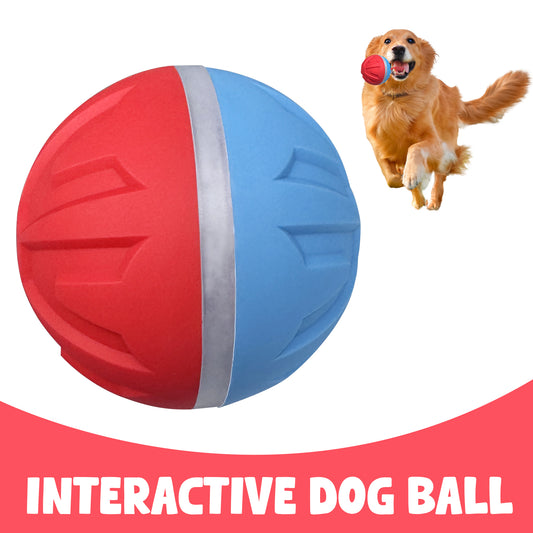 Likeypaw Pet Interactive Dog Ball-Suitable for indoor and outdoor play