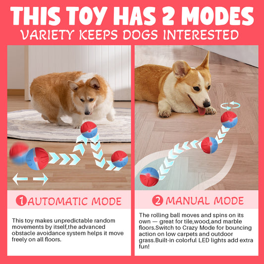 Likeypaw Pet Interactive Dog Ball-Suitable for indoor and outdoor play