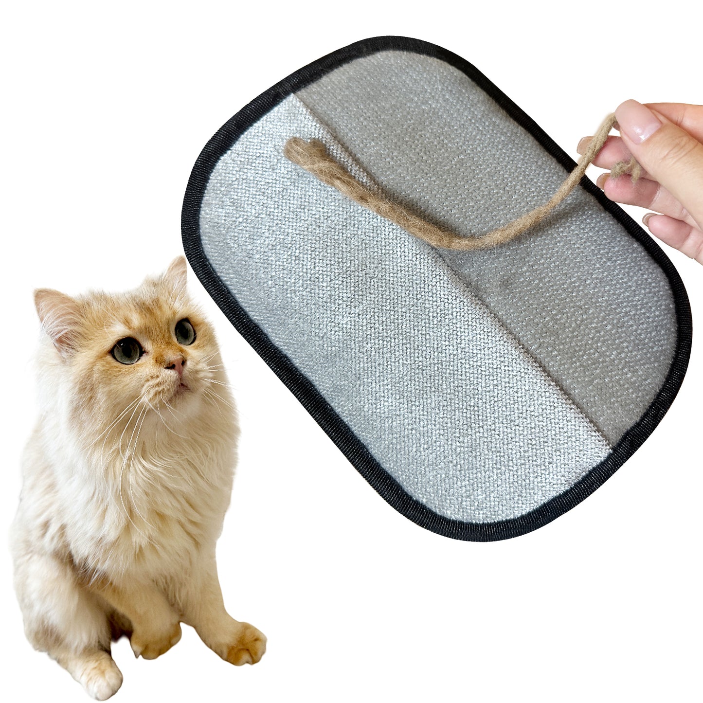 Likeypaw Pet Hair Removal Glove (1 Pack) – For Fabric & Furniture